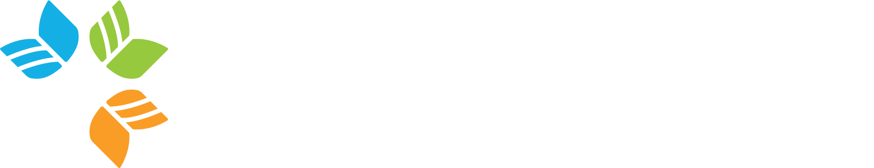 Victoria Literacy Connection